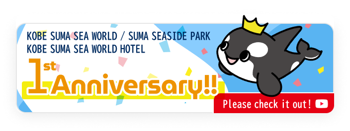 1st_アニバーサリー