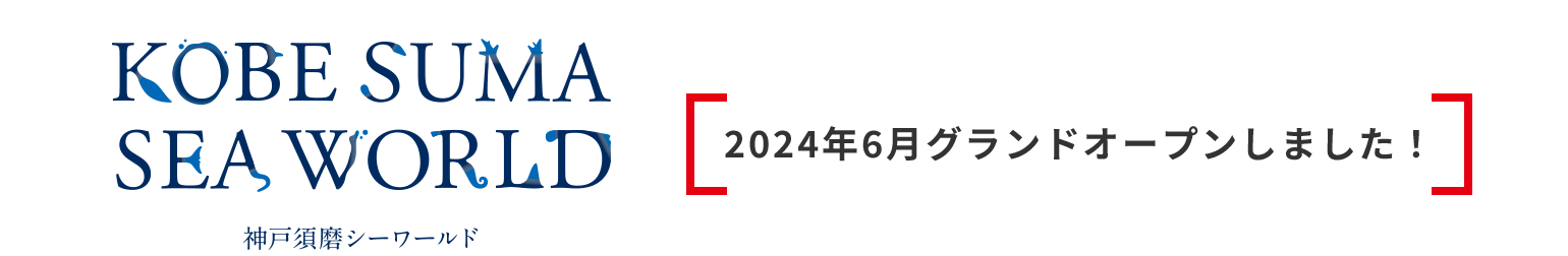 2024年6月グランドオープンしました！